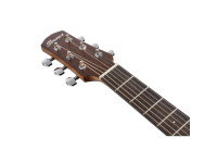 Ibanez AAM50CE-OPN Ibanez AAM50CE-OPN